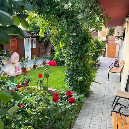 Iris Mamaia Nord Năvodari