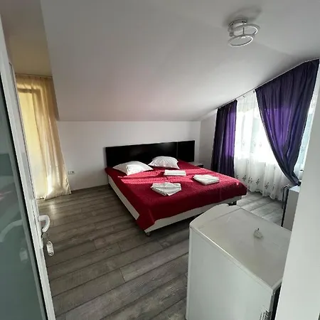 Iris Mamaia Nord * Navodari